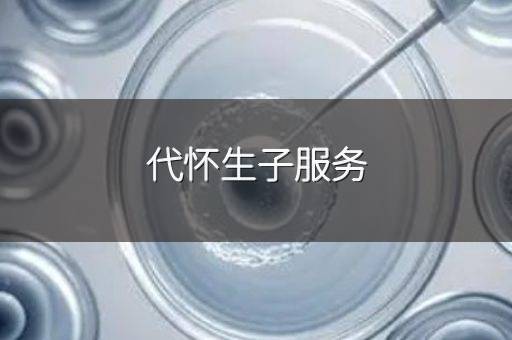 代怀生子服务