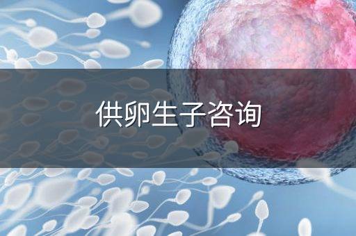 供卵生子咨询