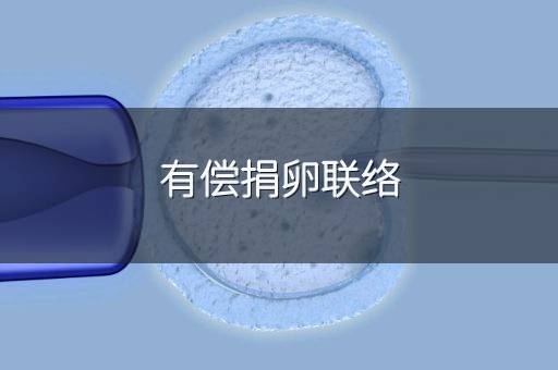 有偿捐卵联络