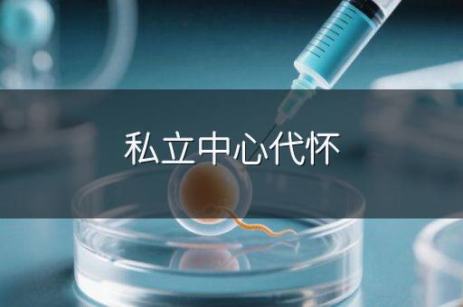 私立中心代怀
