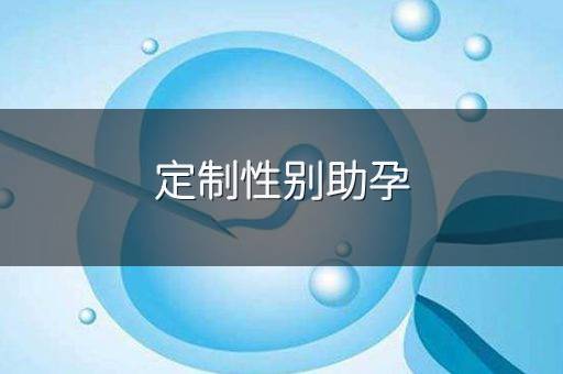 定制性别助孕