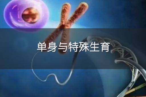 单身与特殊生育